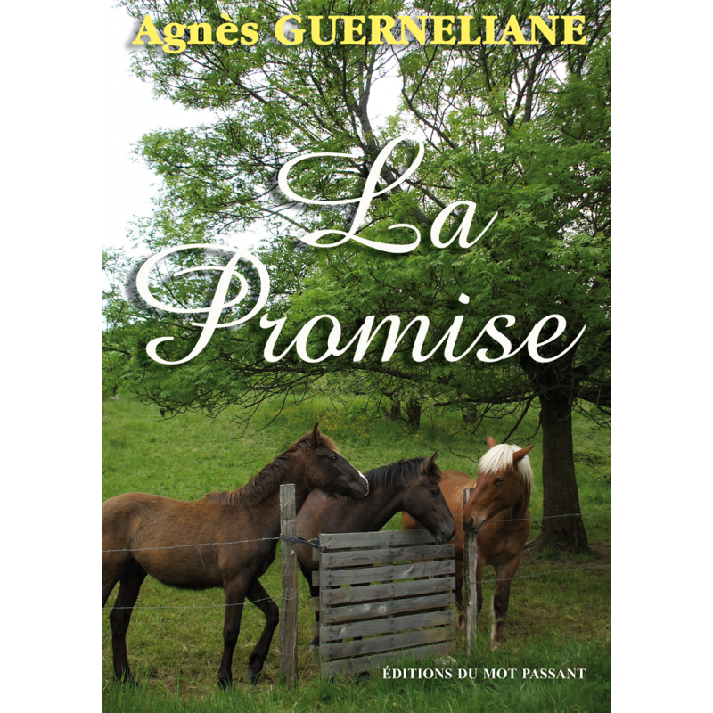 La promise d'Agnès Guerneliane
