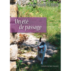 Un été de passage de Jean-Marie Terron